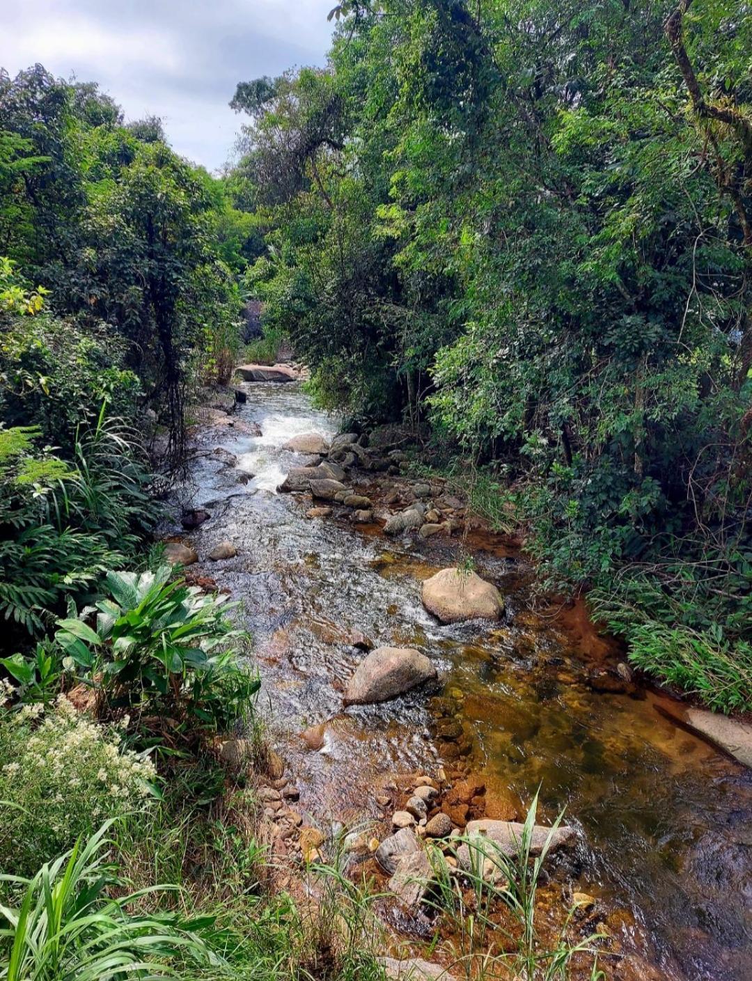 Pousada Sitio Monte Sinai Sao Jose do Barreiro  Luaran gambar