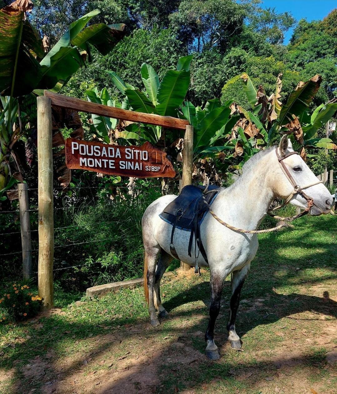 Pousada Sitio Monte Sinai Sao Jose do Barreiro  Luaran gambar