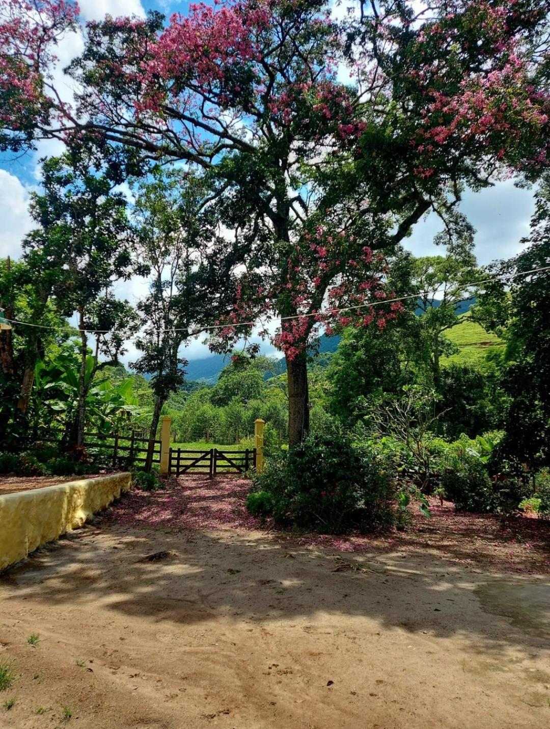 Pousada Sitio Monte Sinai Sao Jose do Barreiro  Luaran gambar